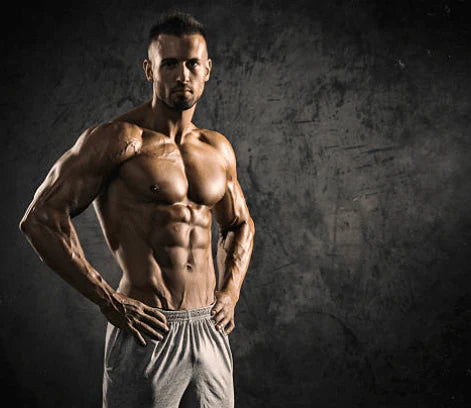 Magnum Quattro - 4-Stage Protein Isolate (Original) ©