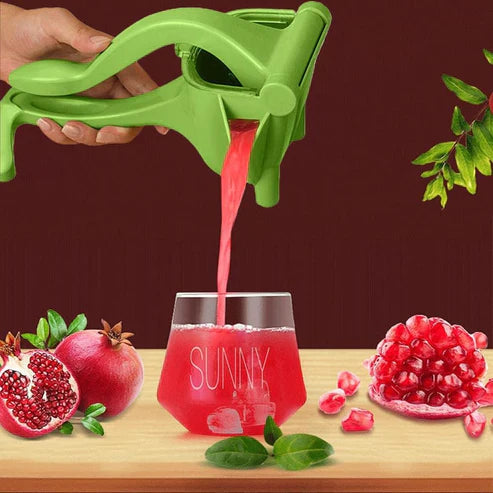 Manual Fruit Press