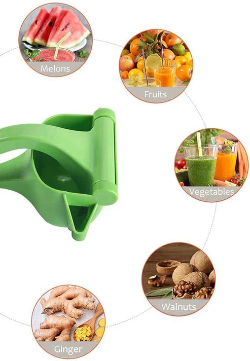 Manual Fruit Press